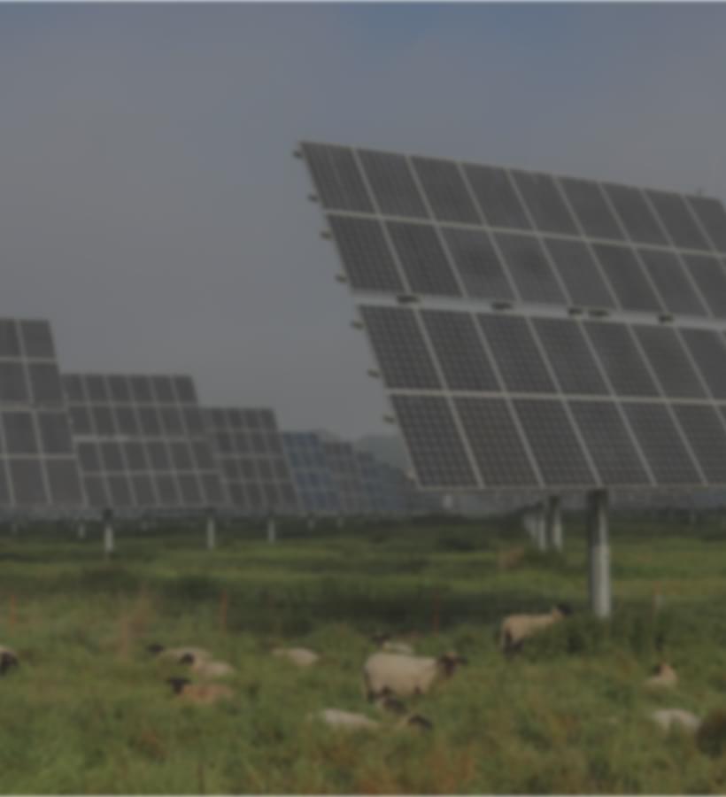Freiflächen für Photovoltaik – jetzt doppelt profitieren mit E-Megawatt