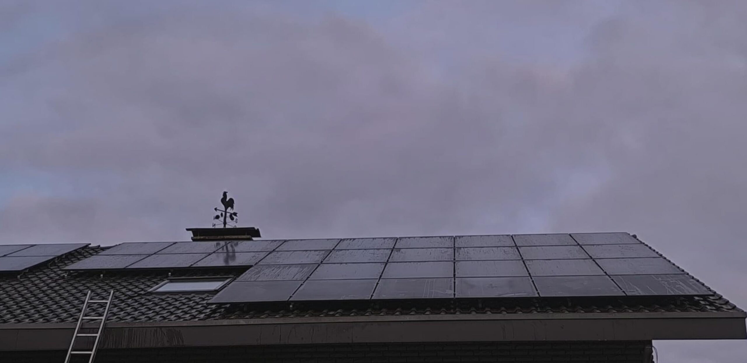 Mieterstrom mit E-Megawatt – Effizient. Nachhaltig. Wirtschaftlich.